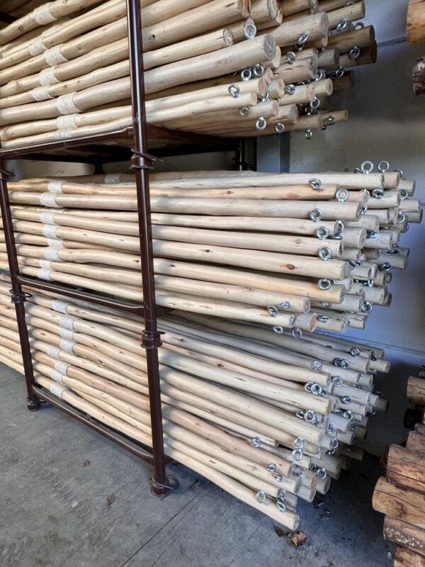 Blue gum houten paal 2m - Image 3